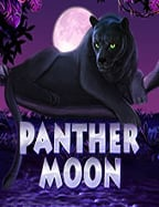 รีวิวสมัคร เว็บ บอล 888 ที่ทุกคนไม่ควรพลาด